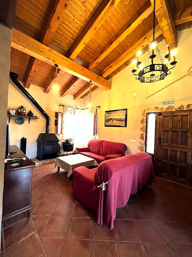 zona-sofás-chimenea