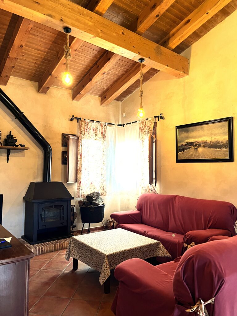 salón-con-chimenea-vistas