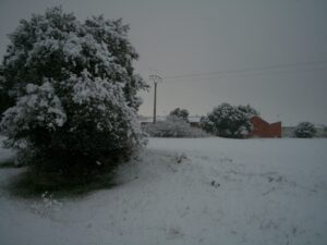 vista nevada
