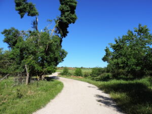 camino saldaña de ayllón