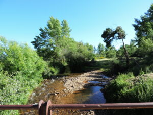 río riaza saldaña de ayllón