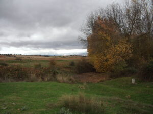 paisaje saldaña
